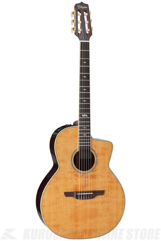 納得できる割引 その他-Takamine (gloss)《アコースティックギター エレアコ》 DMP670NCVTS 600シリーズ -  icana.org.br