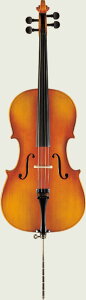 Suzuki �X�Y�L Cello �`�F�� No.73 1/4�yONLINE STORE�z