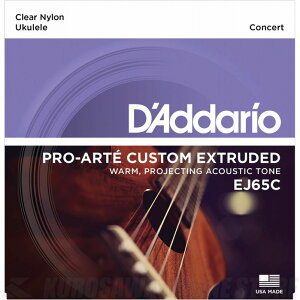 D'Addario Pro-Arte Custom Extruded Ukulele, Concert EJ65C [EJ65C] �s�R���T�[�g�E�N�����p���t�y�l�R�|�X�z(���\���t��)