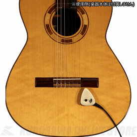 KNA Pickups AP-2 Acoustic Pick-up for guitar and other acoustic instrument - Maple cap (アコースティック楽器用汎用ピックアップ)【ONLINE STORE】