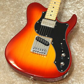 FUJIGEN(FGN) BIL2-M-HS -Cherry Sunburst-【町田店】