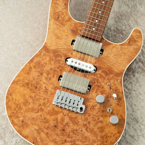 Kz Guitar Works �^�E�ؑ��Y Standard #T0175 �y�����m��V�O�l�C�`���[���f���z�y���c�X�z