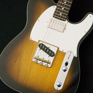 FUJIGEN(FGN) NTE210RAH -2Tone Sunburst-y3.54kgzycXz