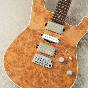 Kz Guitar Works �^�E�ؑ��Y Standard #T0173 �y�����m��V�O�l�C�`���[���f���z�y���c�X�z