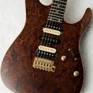 T's Guitars DST Pro 24 w/5A Burl Maple -Trans Brown-�y���c�X�z