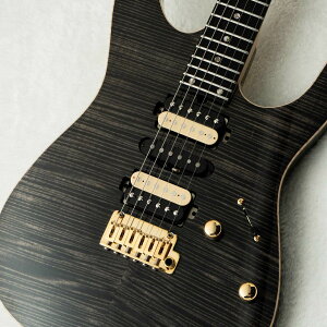 T's Guitars DST Pro 24 -Trans Black w/Antique Gold Wrap Back-�y���c�X�z