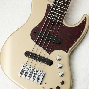 Xotic XJ-1T 5st Light Aged ~Shorline Gold~ #3568 [4.60kg]�y���c�X�z