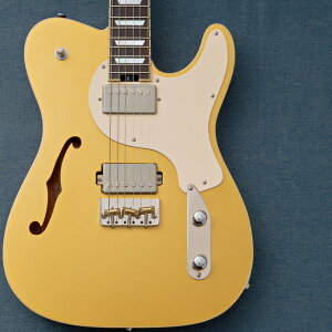 Kz Guitar Works Kz TL Trad Semi-Hollow 22 2H8 Custom w/Brazilian Rosewood -Gold Top-�y���c�X�z