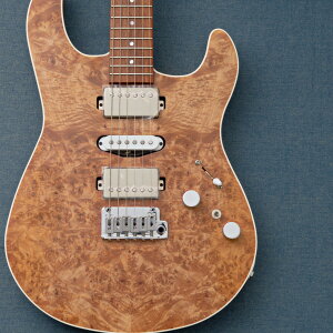 Kz Guitar Works �^�E�ؑ��Y Standard #T0175 �y�����m��V�O�l�C�`���[���f���z�y3.43kg�z�y���c�X�z