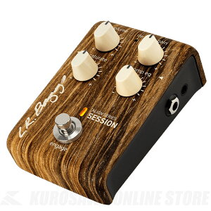 L.R.Baggs ALIGN Series SESSION�s�A�R�[�X�e�B�b�N�E�؃_���t�y���������z �yONLINE STORE�z