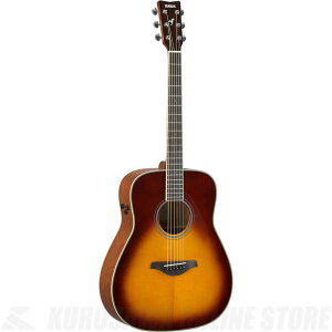 Yamaha FG-TA/BS(uETo[Xg)(gXAR[XeBbNM^[)()yVizyONLINE STOREz