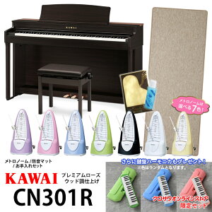 KAWAI CN301Rsv~A[YEbhdグtyNTICXgAZbgzyONLINE STOREz