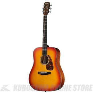 Morris M-025 CS PERFORMERS EDITION ()yONLINE STOREz