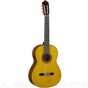 YAMAHA CG-TAsgXAR[XeBbN/NVbNM^[tyz(\t)yONLINE STOREz