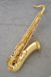 y[IzYanagisawa / iMT ei[TbNX T-WO10 ʑv[g yWViIzyONLINE STOREz