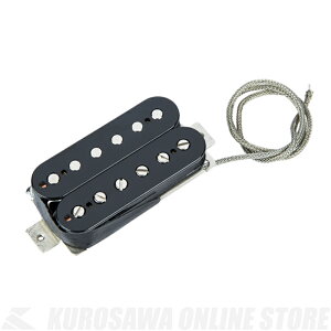 EVH Frankenstein Humbucker[�s�b�N�A�b�v]�y���������z(���\���t��)�yONLINE STORE�z