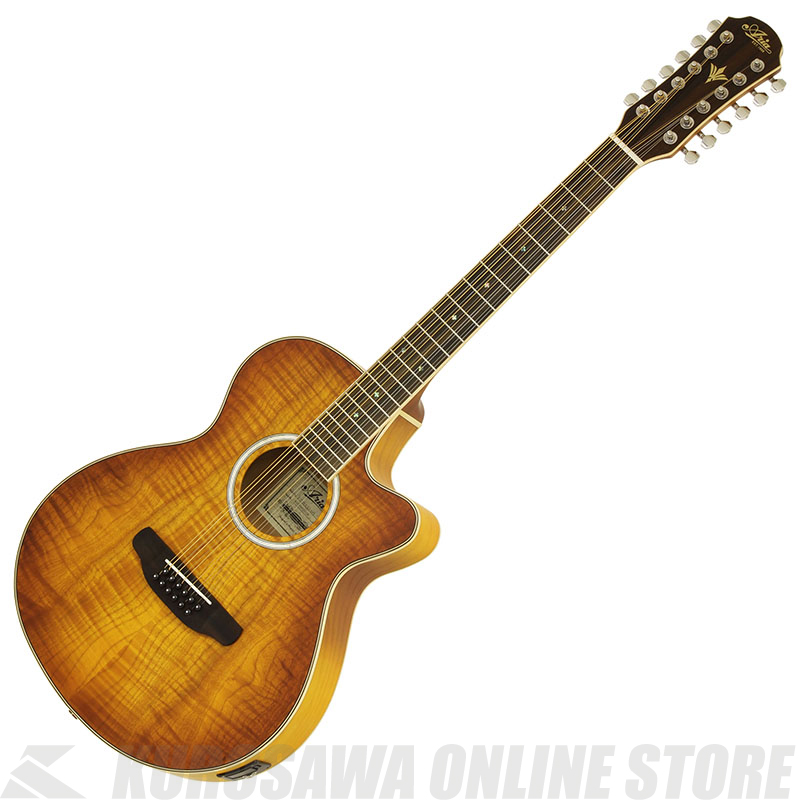 12弦ギター アコースティック ギターの人気商品・通販・価格比較 