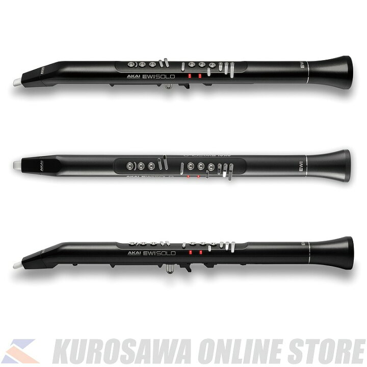 楽天市場】AKAI EWI SOLO【スピーカー内蔵ウインド・シンセサイザー 