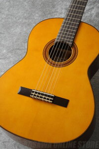 YAMAHA CG Series CG162S sNVbNM^[tyzyONLINE STOREz