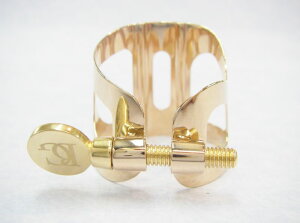 BG gfBV L40PGP TenorSaxpyVizyTbNXXzyTL\tHE{݌ɕiz