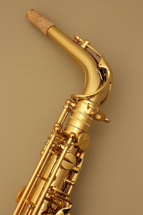 楽天市場】Cannonball A.Scep-L【新品】【キャノンボール】【アルト 