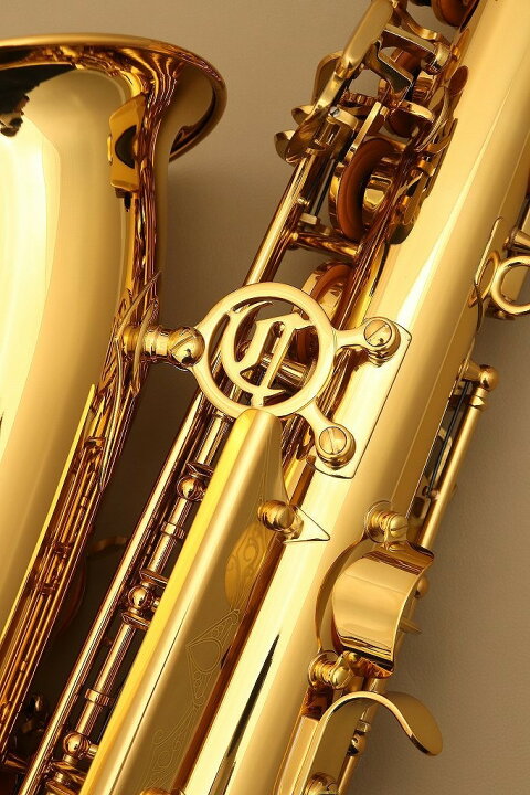 楽天市場】Cannonball A.Scep-L【新品】【キャノンボール】【アルト 
