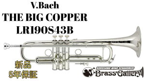 V.Bach THE BIG COPPER LR190S43By񂹁zyVizygybgzyobNzyrbORp[zy⃁bLdグzyStradivarius / XgbhzyǊyXzyECh̐z