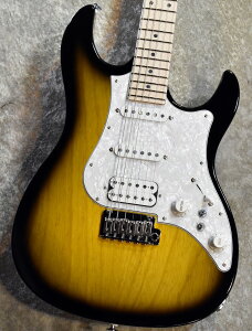FUJIGEN(FGN) EOS2-ASH-M 2Tone Sunburst #H240743yy3.31kg!zyVbJ[!zylXz