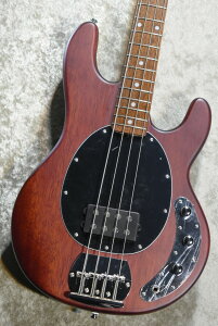 Sterling by MUSIC MAN SUB Series StingRay Ray4 WS Walnut Satin #B2130201�y3.85kg�z�yST-RAY4-WS-J1�z�y���l�X�z