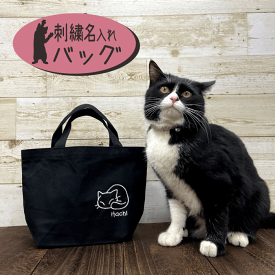 猫 トート 名入れ バッグ 刺しゅう トート 小さめ 軽い かわいい 名入り 刺繍 キャンバス 黒 軽量 小学生 学校 子ども 小さめ 運動会景品 ランチ 散歩 記念 記念品 祝い バック プレゼント にゃんちゃん cat bag 子 猫 仲間 猫カフェ