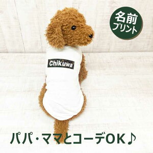  tVc  ĕ@ t ԗDǃVbv  m  ^ ^ ^   yAbN q Mtg  yA NR[f v[g Mtg LO  eq yA 