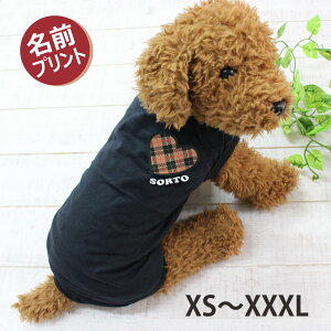  tVc  ĕ@ t ԗDǃVbv  m  ^ ^ ^   yAbN q Mtg  yA NR[f v[g Mtg LO  eq yA 