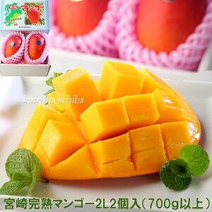 ������ �{�� ���n �}���S�[ 2L2���ϔ��� �������� �i�A�����ꂻ�̑��ꕔ������9,800�~�ȏオ���������j ���蕨 ���j�� �t���[�c �M�t�g �N�[�|��