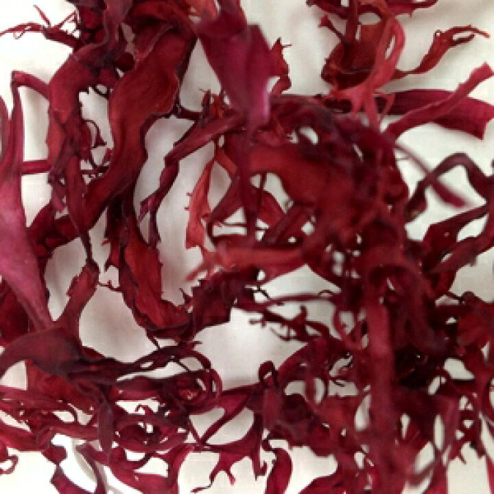 楽天市場 カネリョウ海藻 送料無料 乾燥 海藻サラダ 原料売ります 赤とさか５００ｇ 海苔焼きたて工房 黒潮海苔店