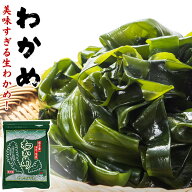 三陸産 わかめ 選べる 150g 塩蔵わかめ wakame 国産 湯通し塩蔵 チャック付き袋 乾燥わかめ より断然 塩…