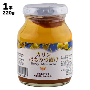 nj[{ J݂͂Ђ 220g ÎY I n`~c VRI  Ɖu̓Abv NHi   Y_ [Og rl r