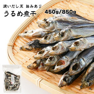 Zn |݂ ߎϊ 1܂450g  CV 킵 ߂킵 ϊ  o`  _V  X` ϕǂ