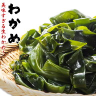 三陸産 わかめ 300g 塩蔵わかめ wakame 国産 湯通し塩蔵 チャック付き袋 乾燥わかめ より断然 塩蔵 ワカ…