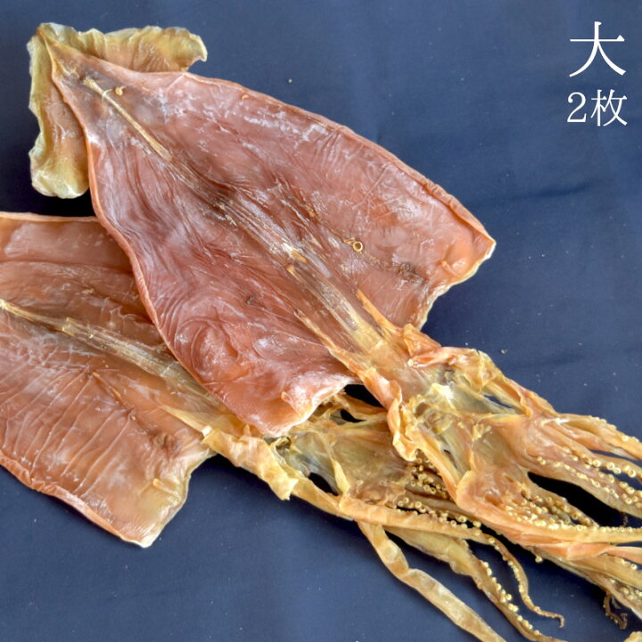 楽天市場 するめ いか 大サイズ 2枚 北海道産 するめいか スルメイカ 天日干し 干しイカ 肉厚の柔らかく噛み応え抜群 カニなどの冬の海産物と一緒におすすめ 海苔焼きたて工房 黒潮海苔店