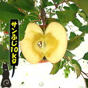 【青森　りんご】【優品　サンふじ　りんご　10kg】　　　　　　【送料無料】　りんご農家自身が直接販売だから安い!!…