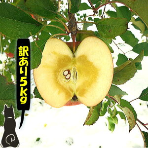 yX@񂲁zy󂠂@Tӂ@񂲁@5kgz@@@@@@yz@񂲔_Ǝgڔ̔!!!!