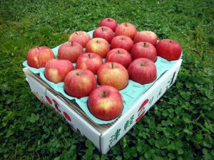くろし ば りんご 農園