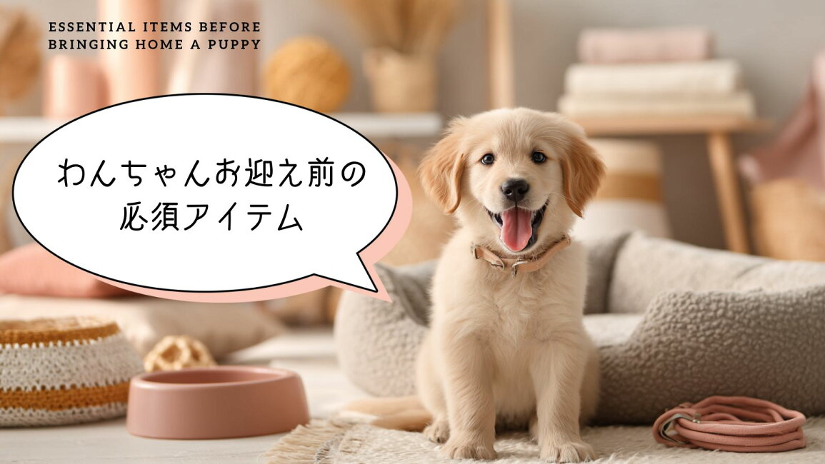 楽天市場 | ペッツビレッジクロス - ? ワンちゃんをお迎えするまでに 