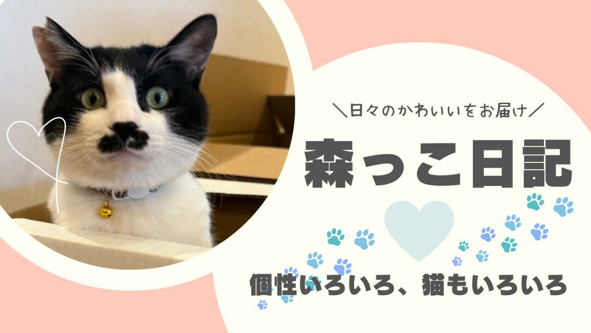 楽天市場 | ペッツビレッジクロス - 030：うるさカワイイ?オラフ 
