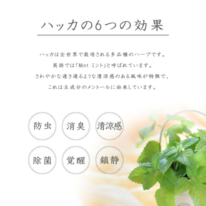 楽天市場 4 7まで 最大400円offクーポン配布中 Hakka Care ハーブバスリキッド 0ml ハッカ ケア 薄荷 虫除け スプレータイプ 防虫 対策 忌避 お風呂 バス 犬 ドッグ ペット グッズ 用品 ペッツビレッジクロス ペット通販