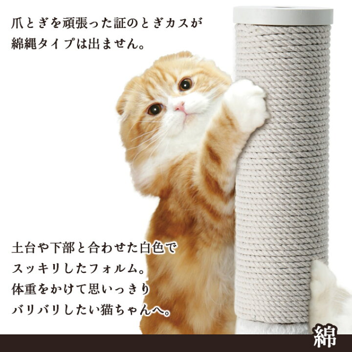 楽天市場】お手入れ用品 猫壱 バリバリつめとぎポール 交換用つめとぎ 