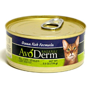 ǭ���� �����åȥա���