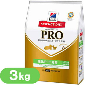 ǭ���� �ɥ饤�ա���