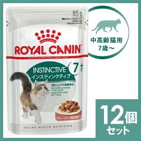 ǭ���� �����åȥա���