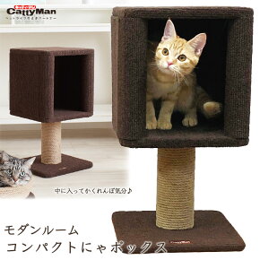 ǭ���� ����åȥ��